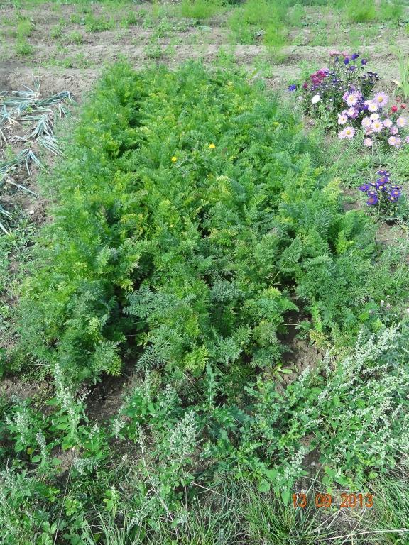 Philosophische Bildwanderung in Rheinhessen -Mainz Lerchenberg - Essenheim - Stadecken Elsheim - Nieder Olm - Ober Olm - Mainz Lerchenberg