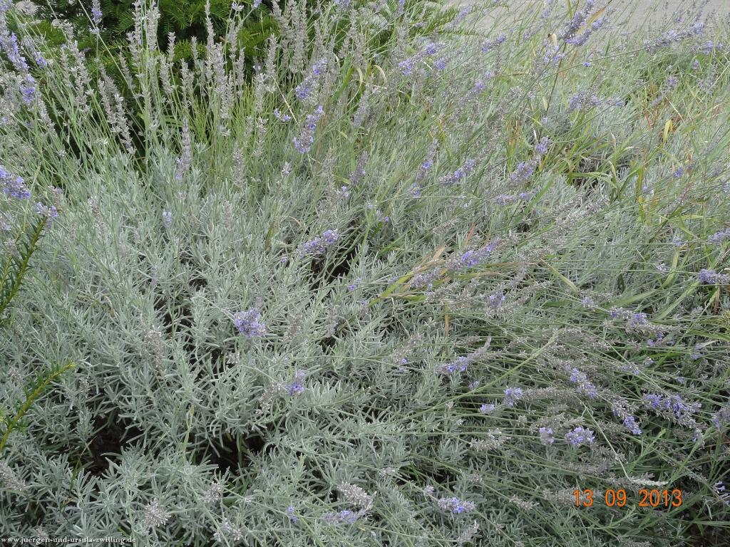 Philosophische Bildwanderung in Rheinhessen -Mainz Lerchenberg - Essenheim - Stadecken Elsheim - Nieder Olm - Ober Olm - Mainz Lerchenberg