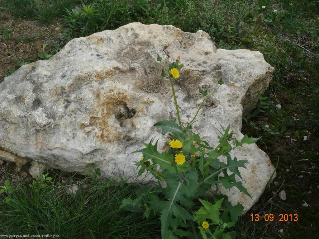 Philosophische Bildwanderung in Rheinhessen -Mainz Lerchenberg - Essenheim - Stadecken Elsheim - Nieder Olm - Ober Olm - Mainz Lerchenberg