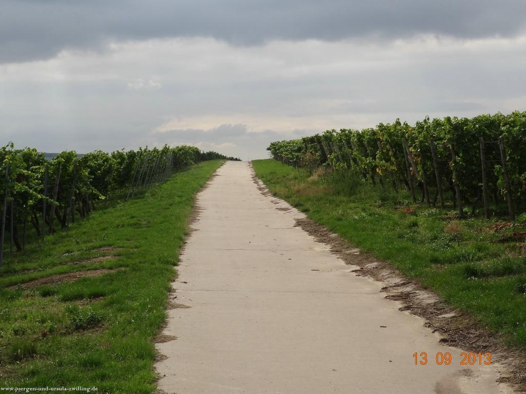 Philosophische Bildwanderung in Rheinhessen -Mainz Lerchenberg - Essenheim - Stadecken Elsheim - Nieder Olm - Ober Olm - Mainz Lerchenberg