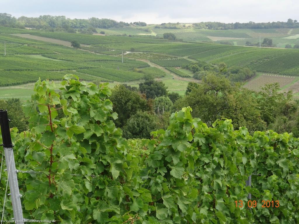 Philosophische Bildwanderung in Rheinhessen -Mainz Lerchenberg - Essenheim - Stadecken Elsheim - Nieder Olm - Ober Olm - Mainz Lerchenberg