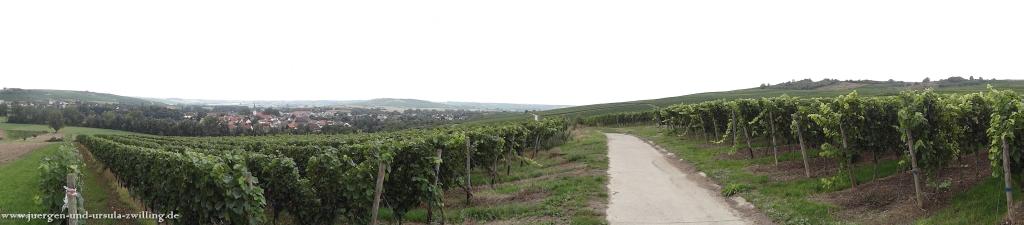 Philosophische Bildwanderung in Rheinhessen -Mainz Lerchenberg - Essenheim - Stadecken Elsheim - Nieder Olm - Ober Olm - Mainz Lerchenberg
