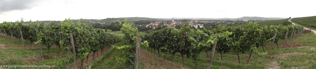 Philosophische Bildwanderung in Rheinhessen -Mainz Lerchenberg - Essenheim - Stadecken Elsheim - Nieder Olm - Ober Olm - Mainz Lerchenberg