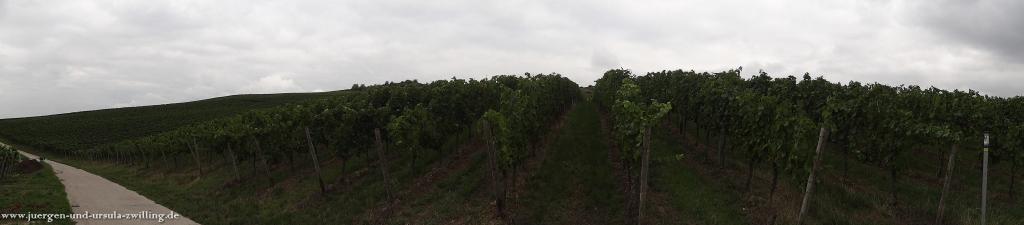 Philosophische Bildwanderung in Rheinhessen -Mainz Lerchenberg - Essenheim - Stadecken Elsheim - Nieder Olm - Ober Olm - Mainz Lerchenberg