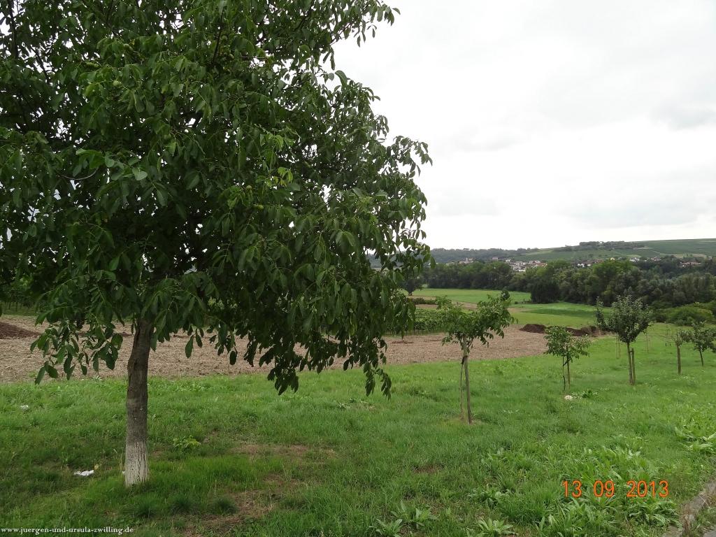 Philosophische Bildwanderung in Rheinhessen -Mainz Lerchenberg - Essenheim - Stadecken Elsheim - Nieder Olm - Ober Olm - Mainz Lerchenberg