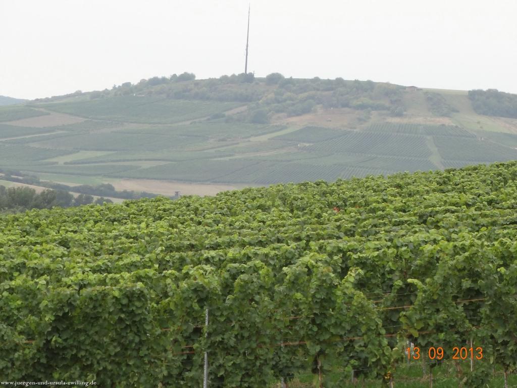 Philosophische Bildwanderung in Rheinhessen -Mainz Lerchenberg - Essenheim - Stadecken Elsheim - Nieder Olm - Ober Olm - Mainz Lerchenberg