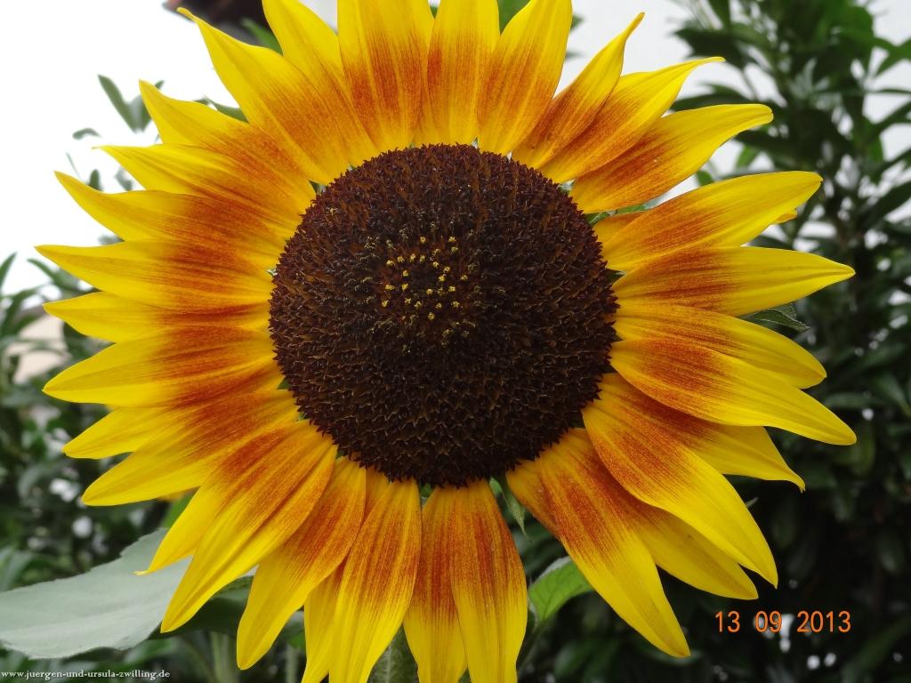 Philosophische Bildwanderung in Rheinhessen -Mainz Lerchenberg - Essenheim - Stadecken Elsheim - Nieder Olm - Ober Olm - Mainz Lerchenberg