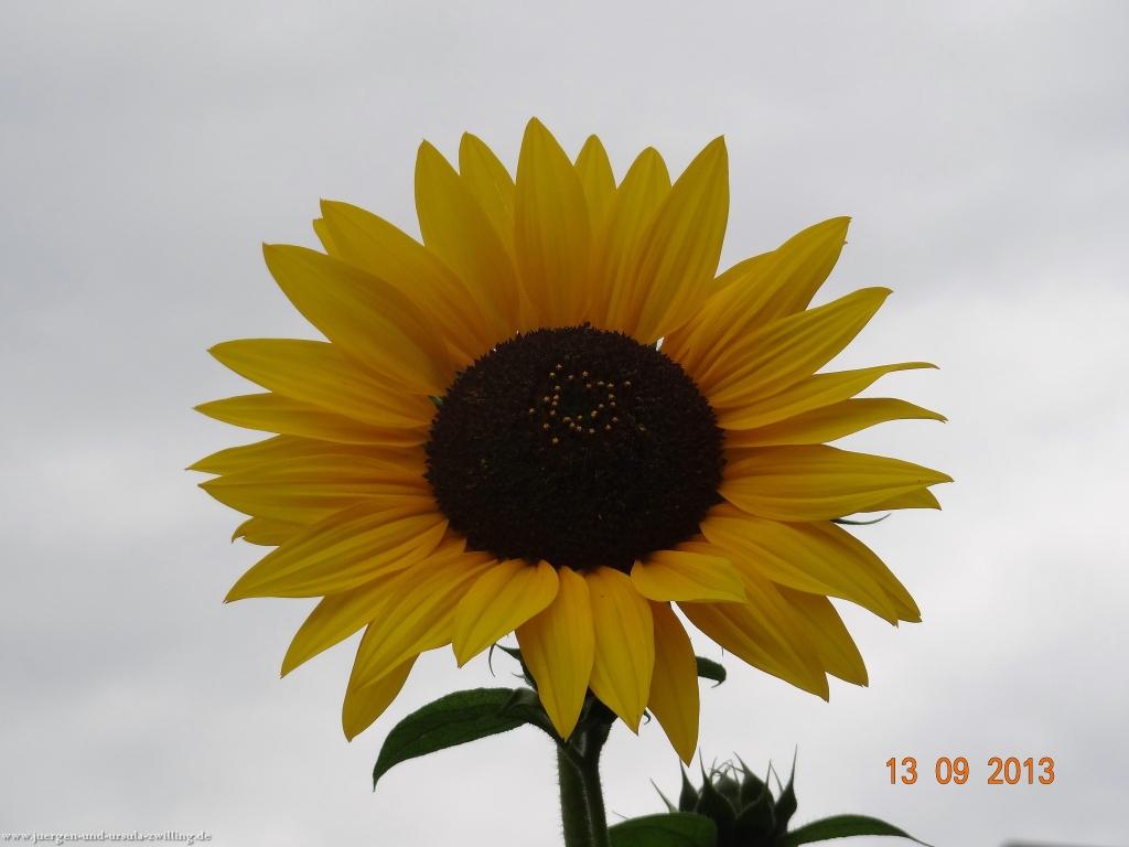 Philosophische Bildwanderung in Rheinhessen -Mainz Lerchenberg - Essenheim - Stadecken Elsheim - Nieder Olm - Ober Olm - Mainz Lerchenberg