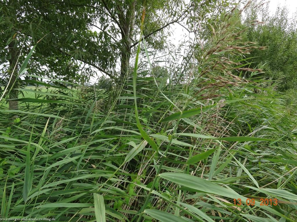 Philosophische Bildwanderung in Rheinhessen -Mainz Lerchenberg - Essenheim - Stadecken Elsheim - Nieder Olm - Ober Olm - Mainz Lerchenberg