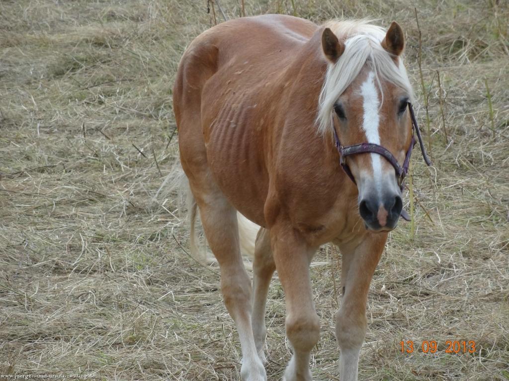 Philosophische Bildwanderung in Rheinhessen -Mainz Lerchenberg - Essenheim - Stadecken Elsheim - Nieder Olm - Ober Olm - Mainz Lerchenberg