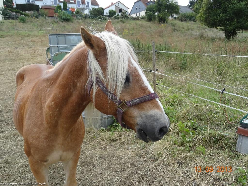 Philosophische Bildwanderung in Rheinhessen -Mainz Lerchenberg - Essenheim - Stadecken Elsheim - Nieder Olm - Ober Olm - Mainz Lerchenberg