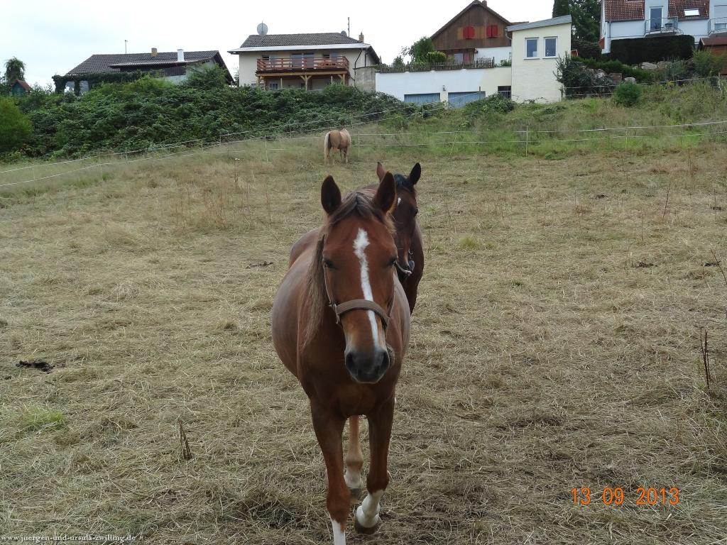 Philosophische Bildwanderung in Rheinhessen -Mainz Lerchenberg - Essenheim - Stadecken Elsheim - Nieder Olm - Ober Olm - Mainz Lerchenberg