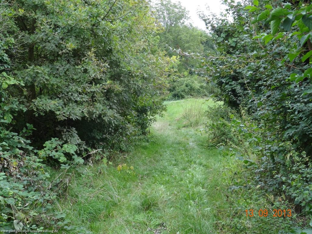 Philosophische Bildwanderung in Rheinhessen -Mainz Lerchenberg - Essenheim - Stadecken Elsheim - Nieder Olm - Ober Olm - Mainz Lerchenberg