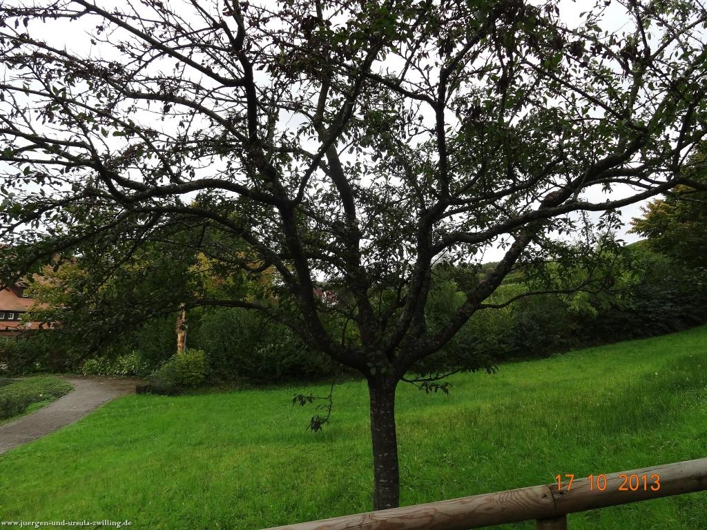 Philosophische Bildwanderung Genießerpfad - Alde Gott Panoramarunde mit Gaishöll Wasserfällen