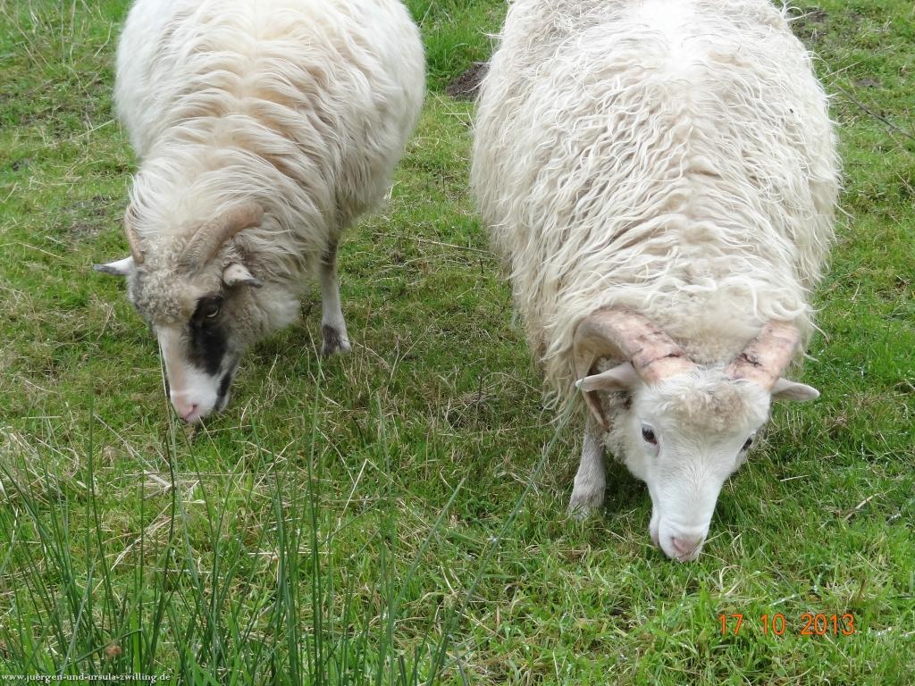 Philosophische Bildwanderung Genießerpfad - Alde Gott Panoramarunde mit Gaishöll Wasserfällen