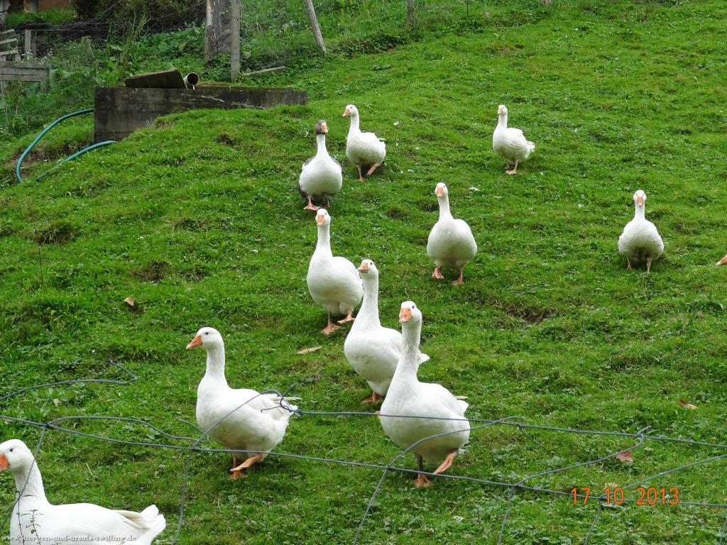 Philosophische Bildwanderung Genießerpfad - Alde Gott Panoramarunde mit Gaishöll Wasserfällen