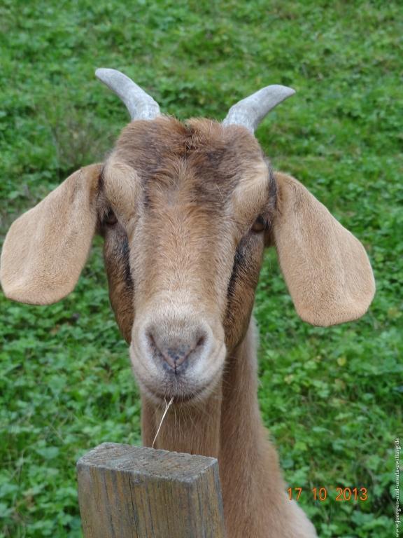 Philosophische Bildwanderung Genießerpfad - Alde Gott Panoramarunde mit Gaishöll Wasserfällen