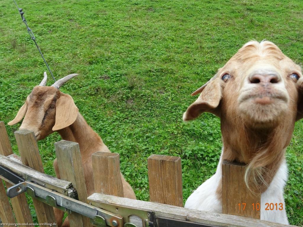 Philosophische Bildwanderung Genießerpfad - Alde Gott Panoramarunde mit Gaishöll Wasserfällen