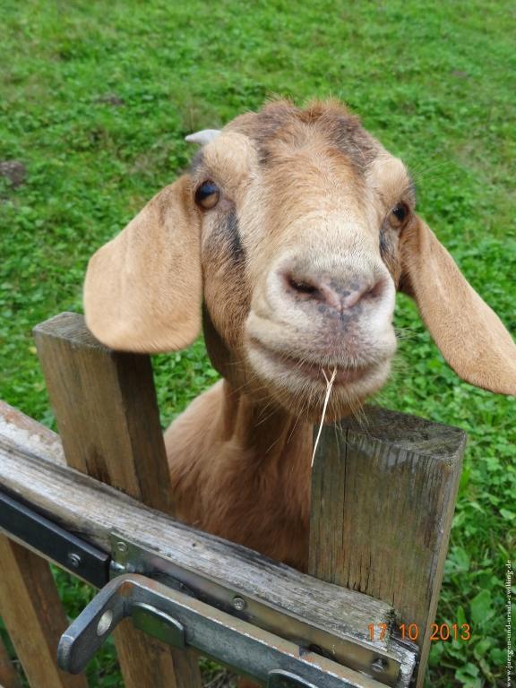 Philosophische Bildwanderung Genießerpfad - Alde Gott Panoramarunde mit Gaishöll Wasserfällen