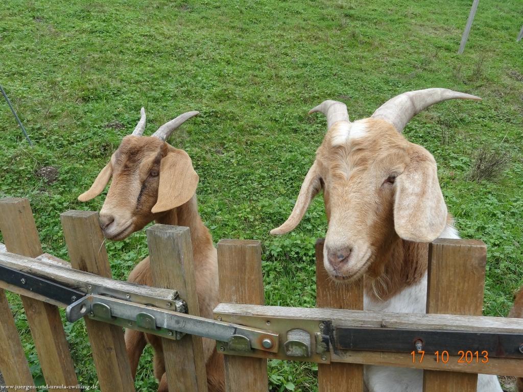 Philosophische Bildwanderung Genießerpfad - Alde Gott Panoramarunde mit Gaishöll Wasserfällen