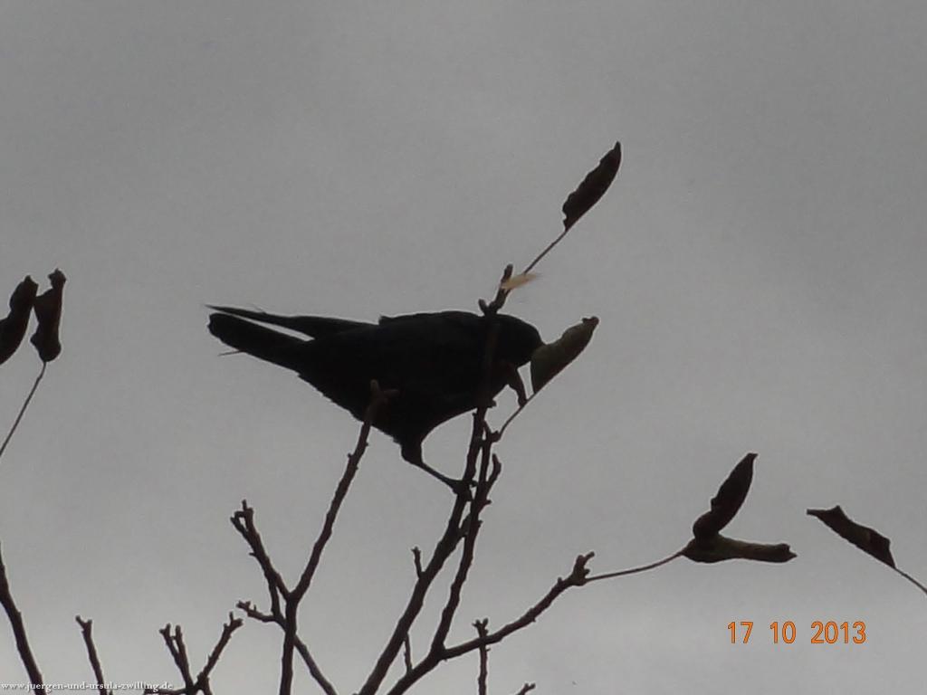 Philosophische Bildwanderung Genießerpfad - Alde Gott Panoramarunde mit Gaishöll Wasserfällen