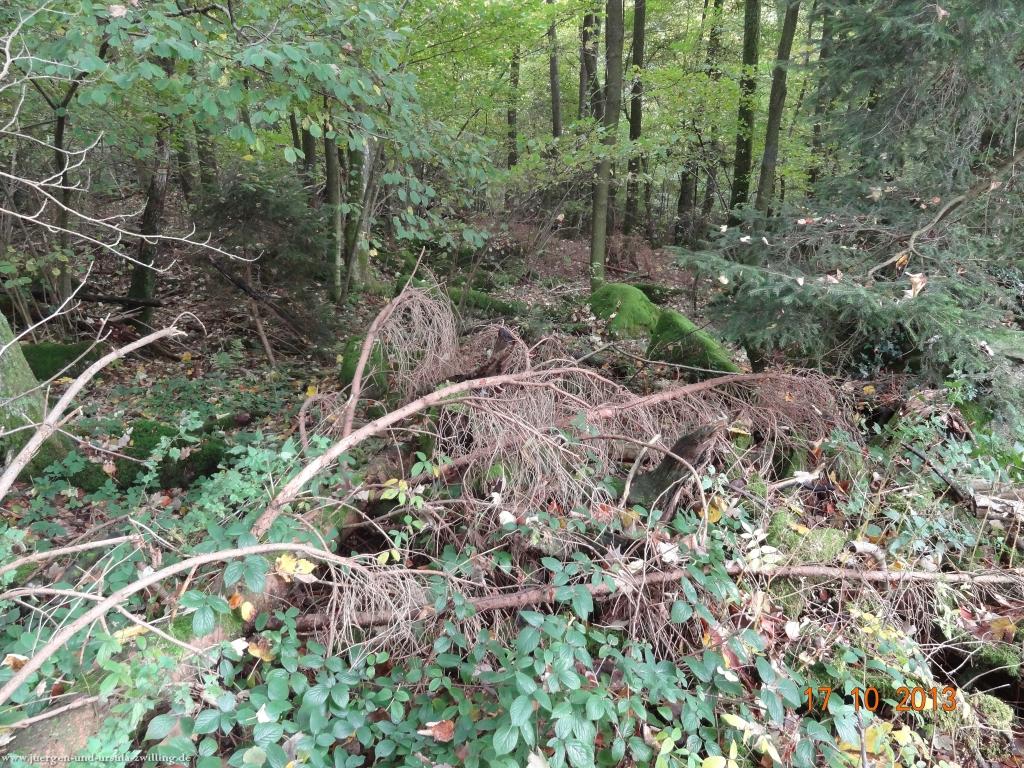 Philosophische Bildwanderung Genießerpfad - Alde Gott Panoramarunde mit Gaishöll Wasserfällen