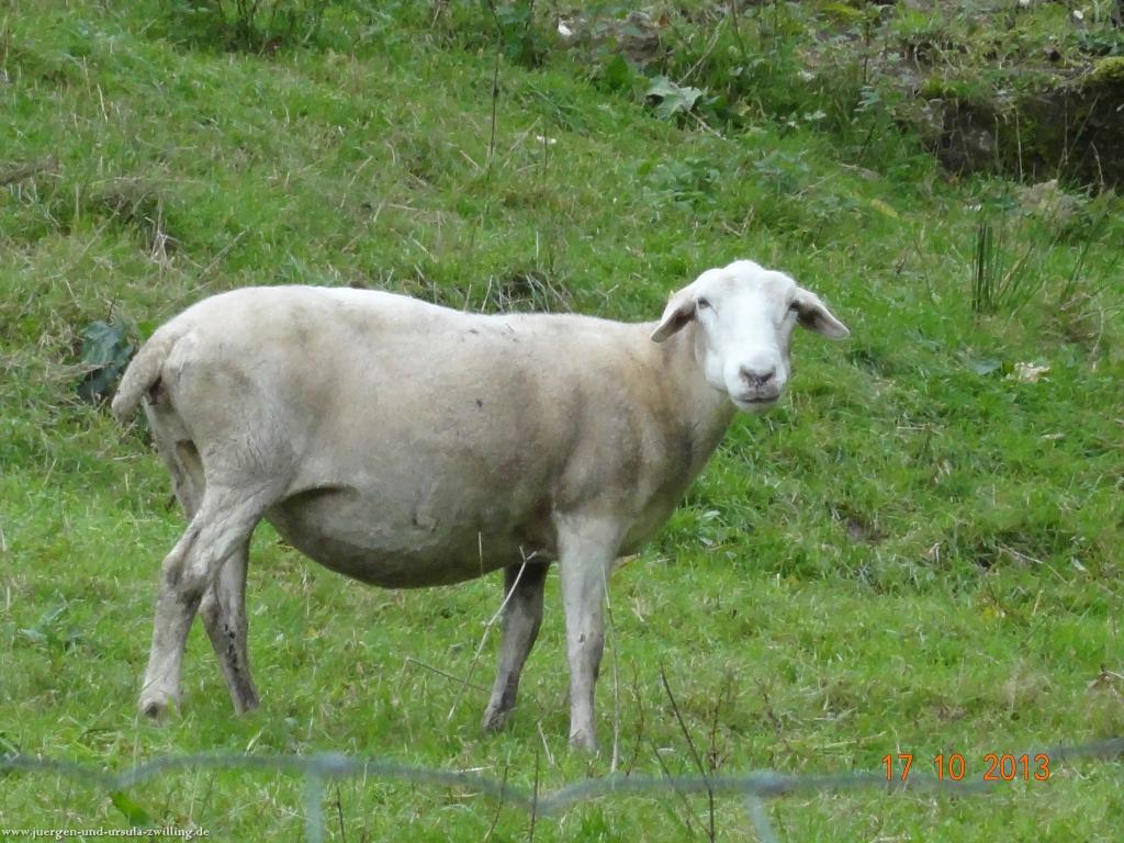 Philosophische Bildwanderung Genießerpfad - Alde Gott Panoramarunde mit Gaishöll Wasserfällen