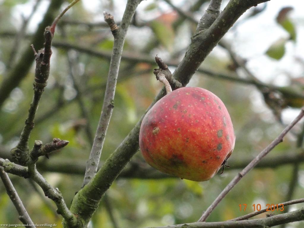 Philosophische Bildwanderung Genießerpfad - Alde Gott Panoramarunde mit Gaishöll Wasserfällen