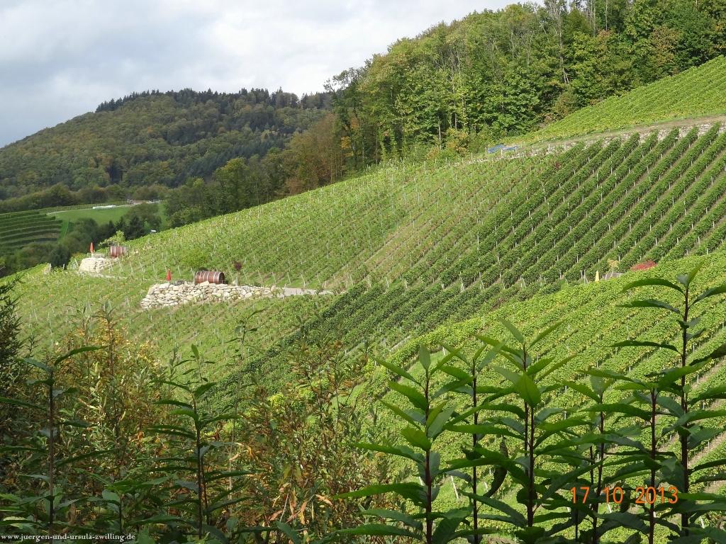 Philosophische Bildwanderung Genießerpfad - Alde Gott Panoramarunde mit Gaishöll Wasserfällen