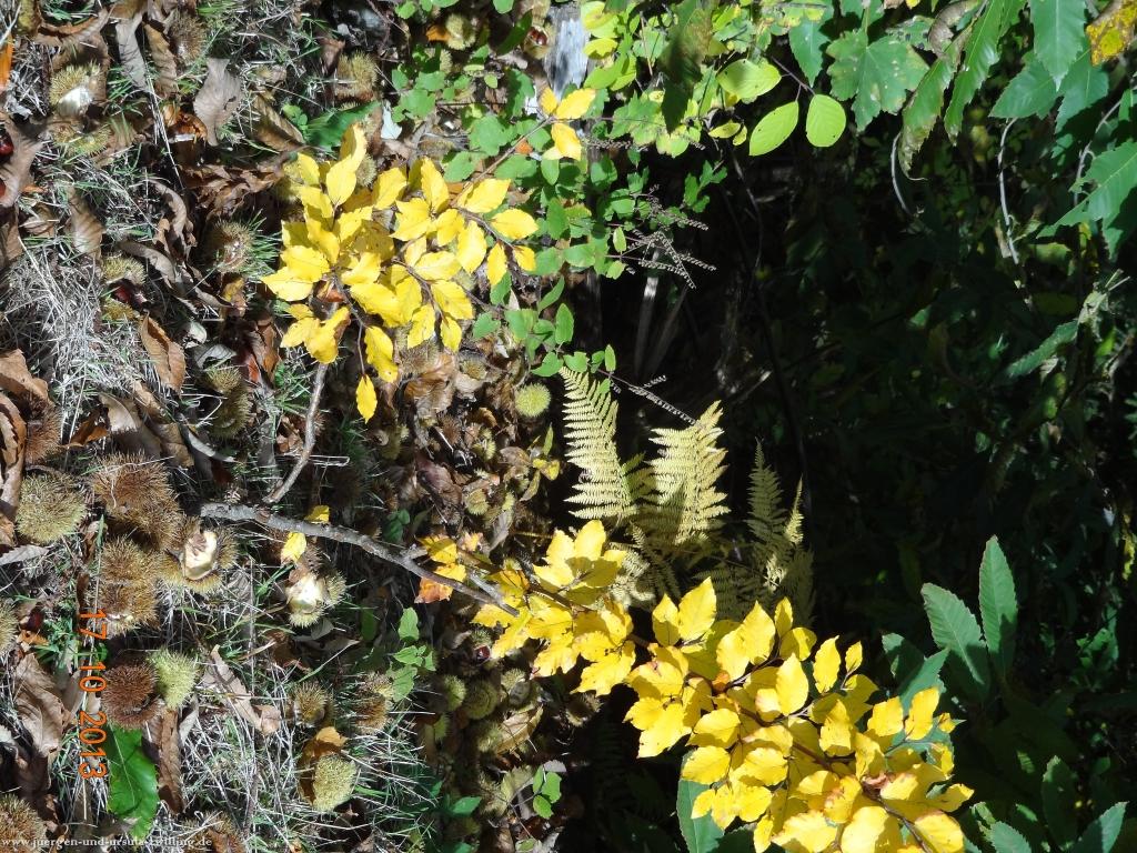 Philosophische Bildwanderung Genießerpfad - Alde Gott Panoramarunde mit Gaishöll Wasserfällen