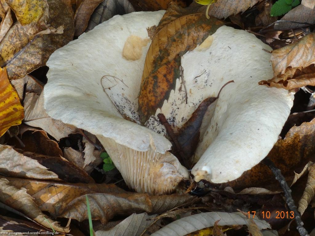 Philosophische Bildwanderung Genießerpfad - Alde Gott Panoramarunde mit Gaishöll Wasserfällen