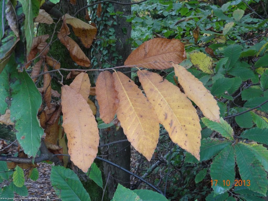Philosophische Bildwanderung Genießerpfad - Alde Gott Panoramarunde mit Gaishöll Wasserfällen