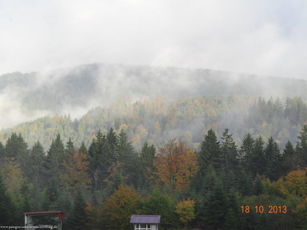 Philosophische Bildwanderung Sasbachwaldener Steig