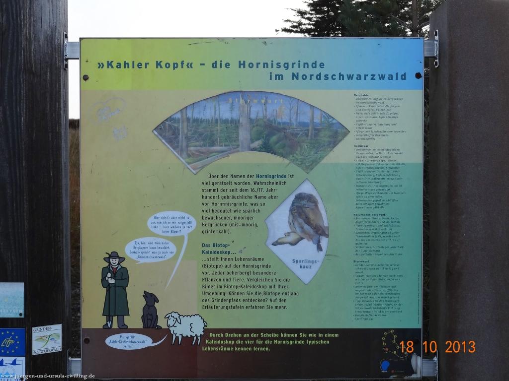 Philosophische Bildwanderung Sasbachwaldener Steig