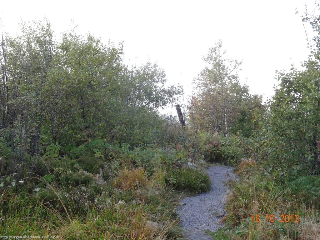 Philosophische Bildwanderung Sasbachwaldener Steig