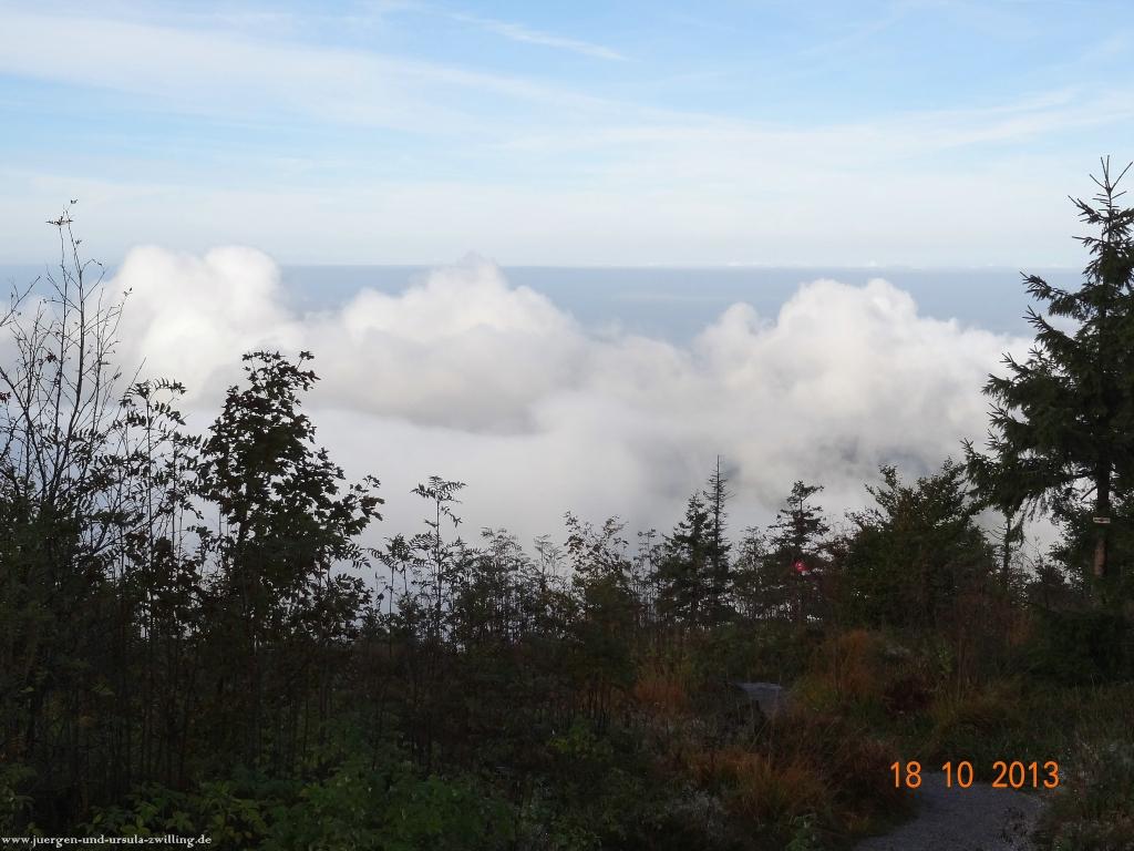 Philosophische Bildwanderung Sasbachwaldener Steig