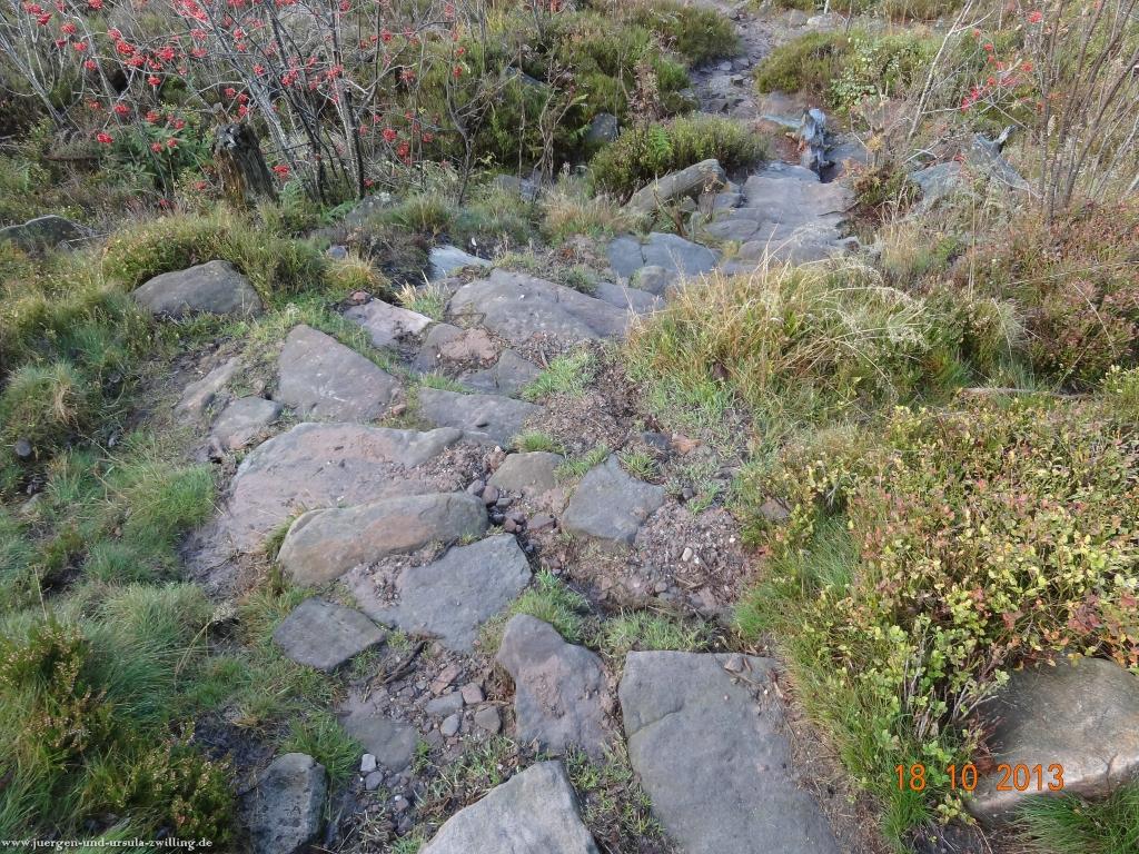 Philosophische Bildwanderung Sasbachwaldener Steig