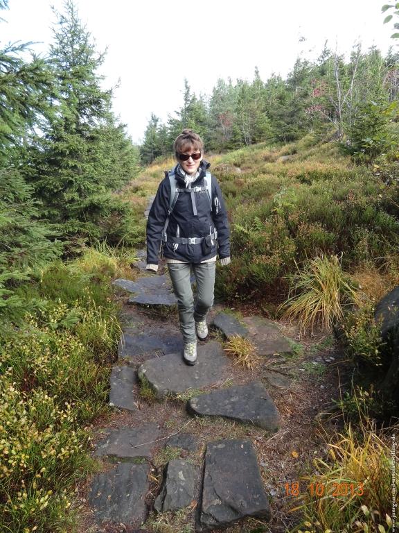 Philosophische Bildwanderung Sasbachwaldener Steig