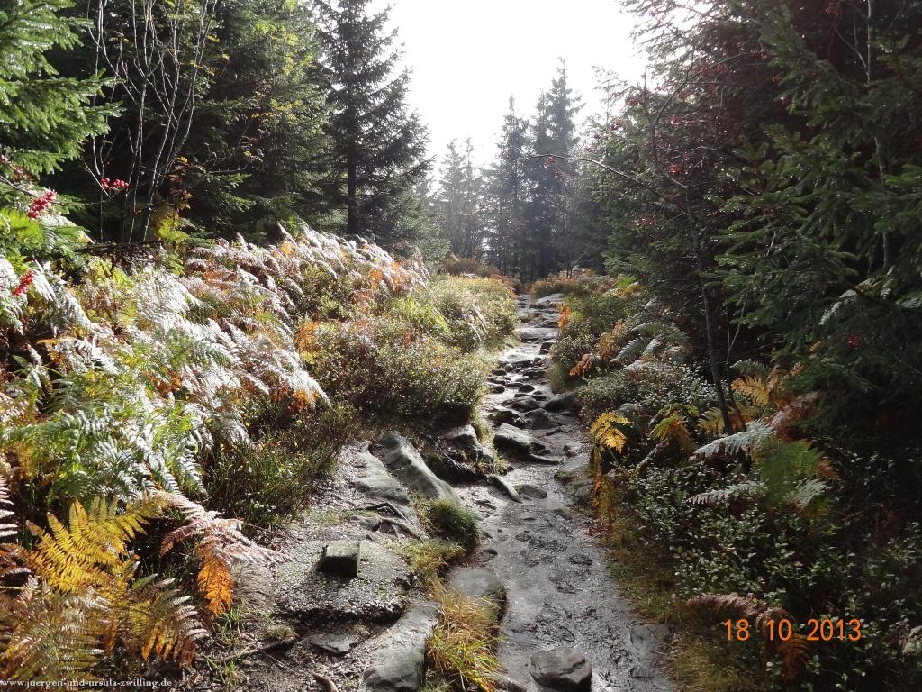 Philosophische Bildwanderung Sasbachwaldener Steig