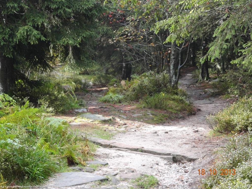 Philosophische Bildwanderung Sasbachwaldener Steig