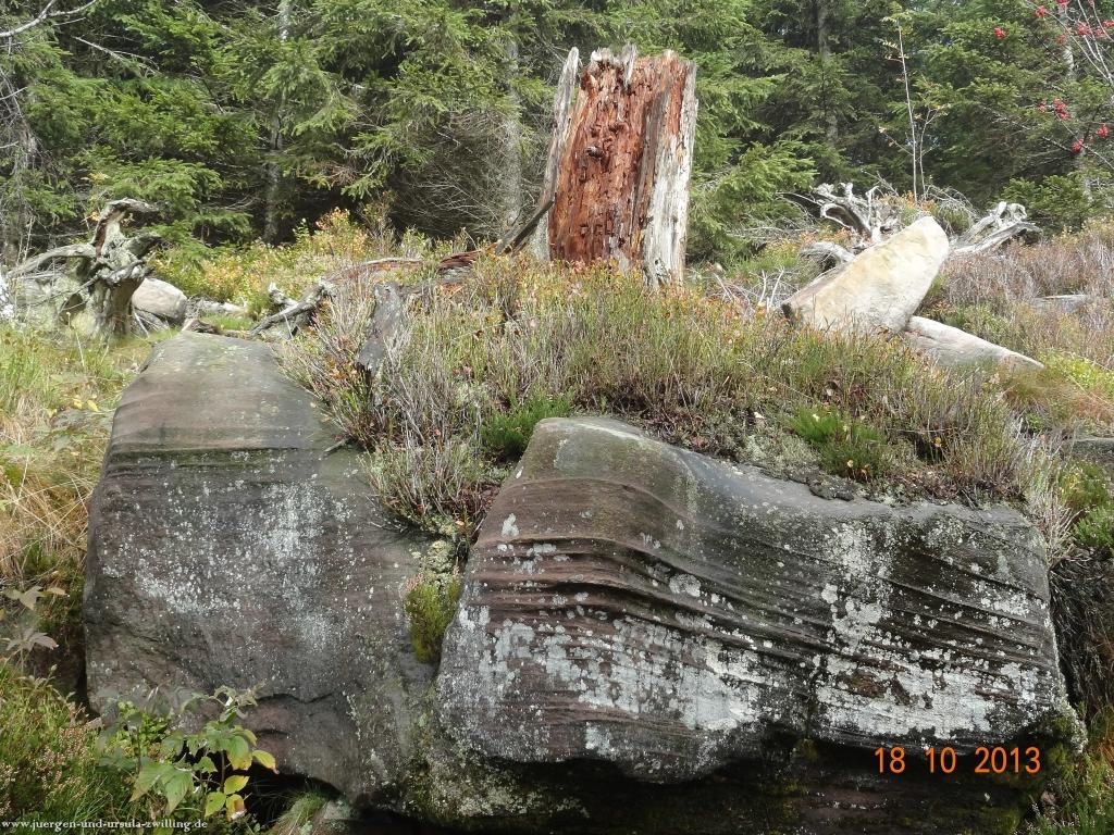 Philosophische Bildwanderung Sasbachwaldener Steig