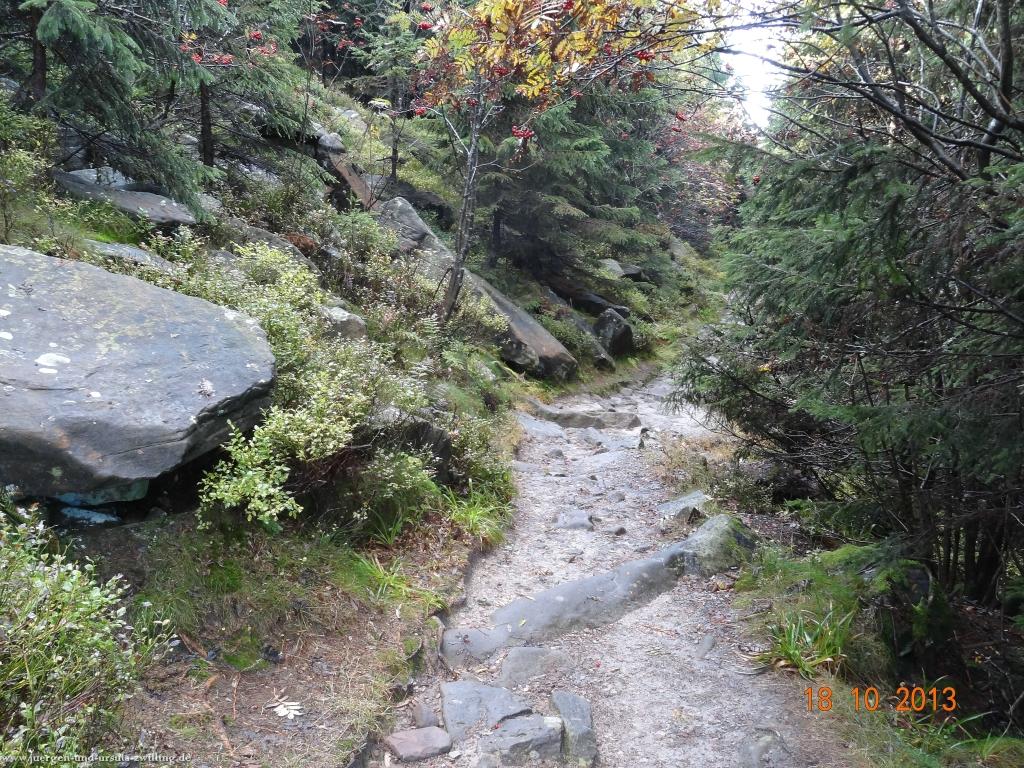 Philosophische Bildwanderung Sasbachwaldener Steig