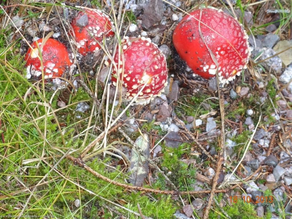 Philosophische Bildwanderung Sasbachwaldener Steig