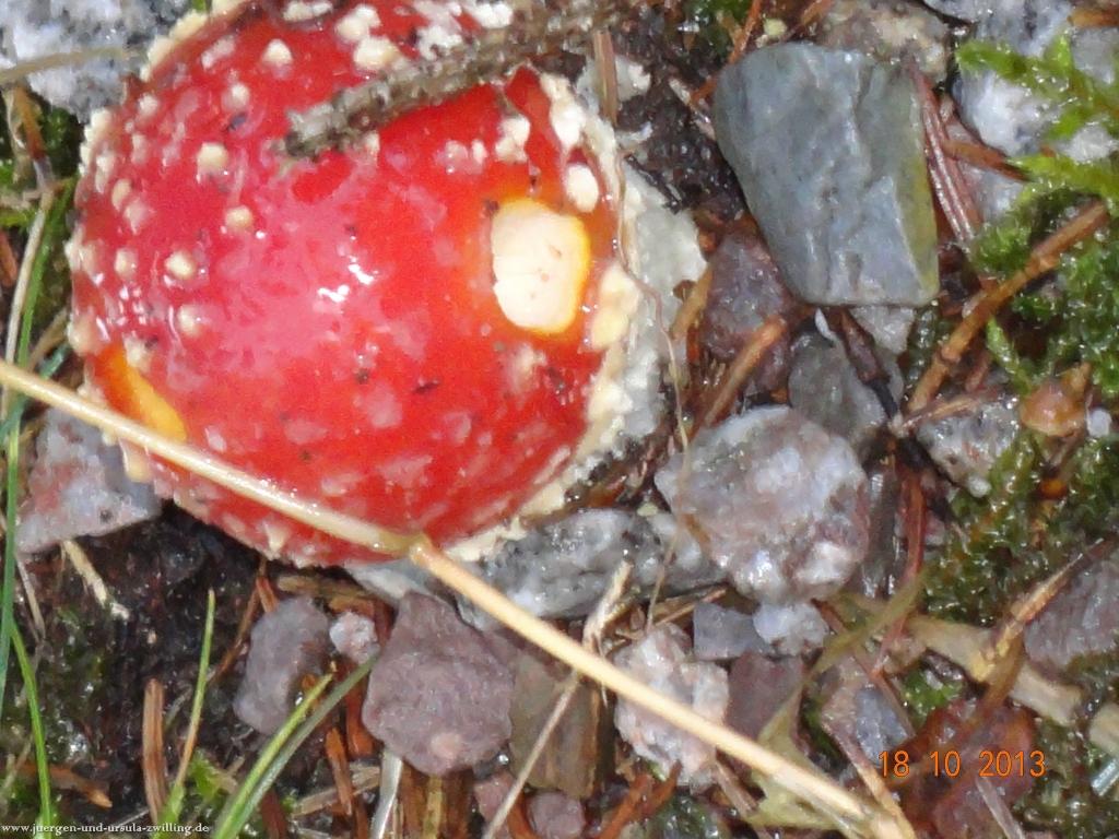 Philosophische Bildwanderung Sasbachwaldener Steig