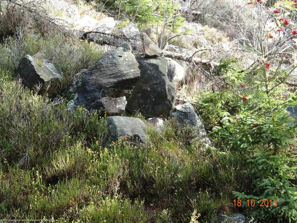 Philosophische Bildwanderung Sasbachwaldener Steig