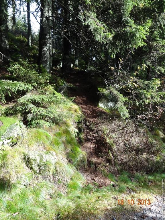 Philosophische Bildwanderung Sasbachwaldener Steig