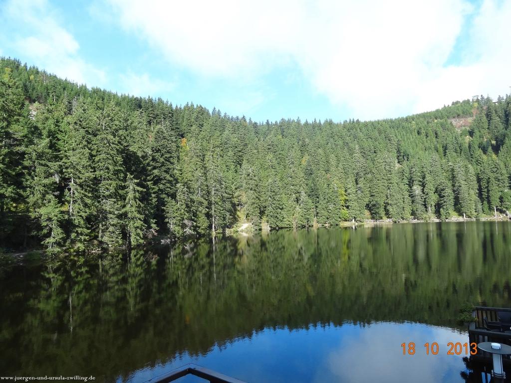 Philosophische Bildwanderung Sasbachwaldener Steig