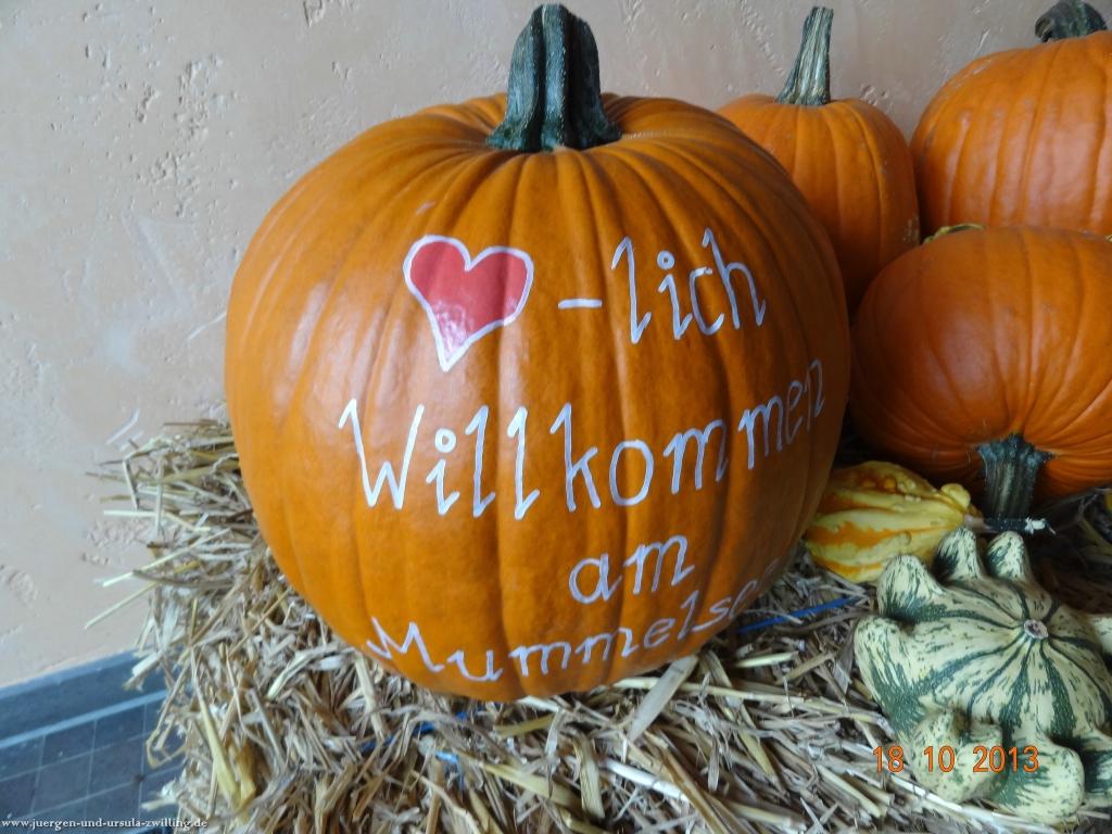 Philosophische Bildwanderung Sasbachwaldener Steig