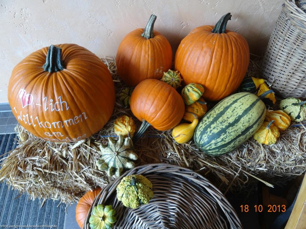 Philosophische Bildwanderung Sasbachwaldener Steig