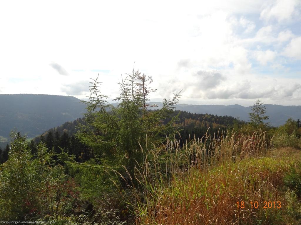 Philosophische Bildwanderung Sasbachwaldener Steig